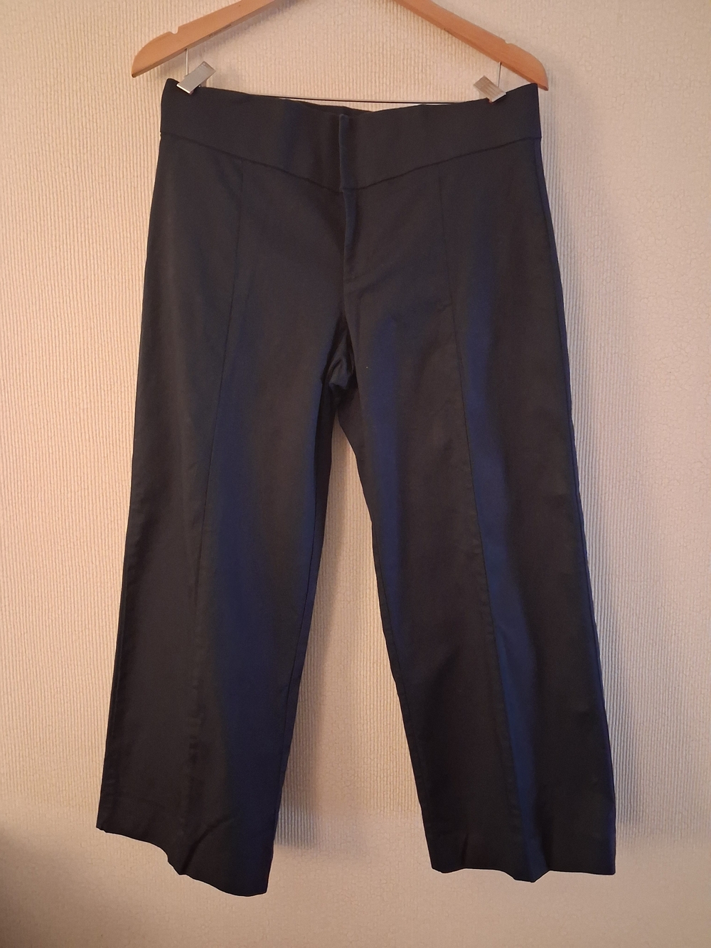 Everlane Women's Navy Wide-Leg Pants 8R